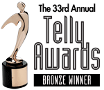 Telly Awards Bronze - Training and Development