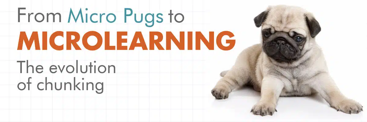 From MicroPugs to Microlearning Banner