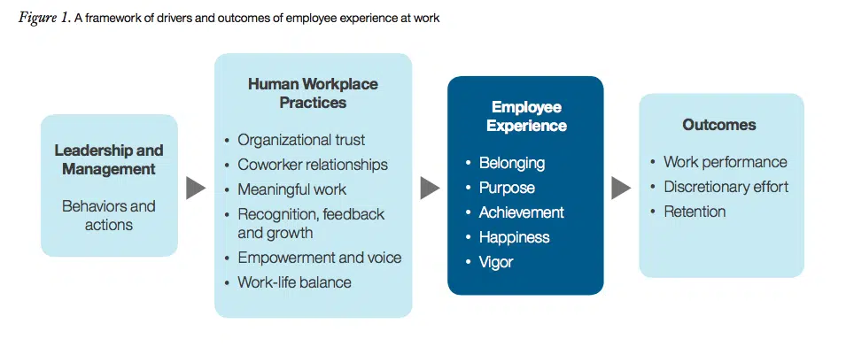 Employee Experience at Work